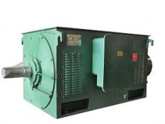 供应Y系列中型高压三相异步电动机 高效可靠的工业动力选择