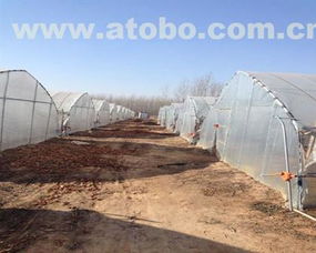 安阳市腾达农业技术推广服务有限责任公司 热卖促销，优质农用机械厂家与供应商指南