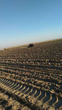 开鲁县农机销售与价格概况 助力现代农业发展